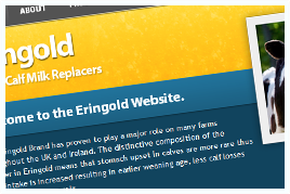 Eringold Ltd